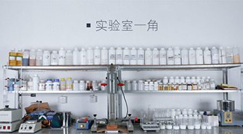 研發(fā)實(shí)力